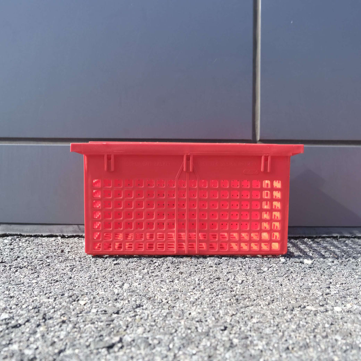 Standard BS Basket RED placed on a textured surface, showcasing its unique hole design for bait fishing.