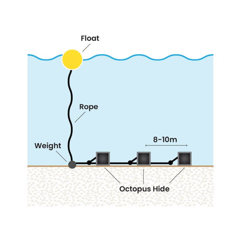 Diagram illustrating OCTOPUS SHELTER POT 5 PACK setup with float, rope, weight, and octopus hides.