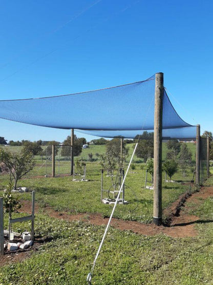 EZBuild LARGE Structure Kit with bird netting covering orchard trees under clear blue sky.