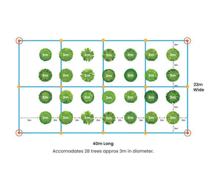 Diagram showing dimensions and layout of EZBuild LARGE Structure Kit accommodating 28 trees, 40m long and 22m wide.