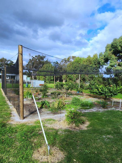 EZBuild SMALL Structure Kit providing protection for an orchard with bird netting and posts in a garden setting.